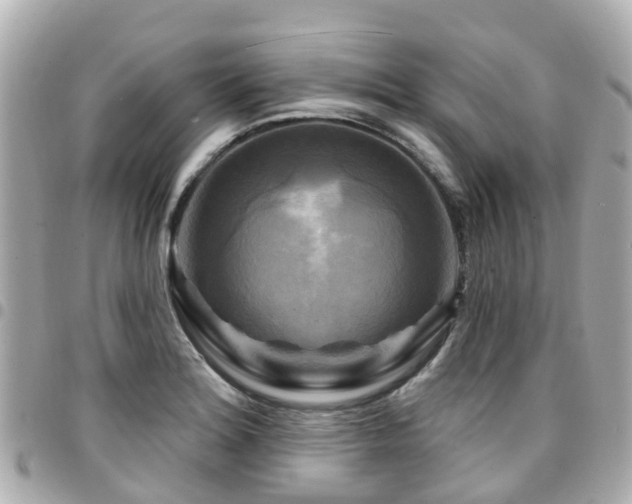 X0000094421180200711081131