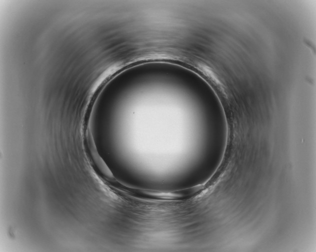 X0000094421181200711081131