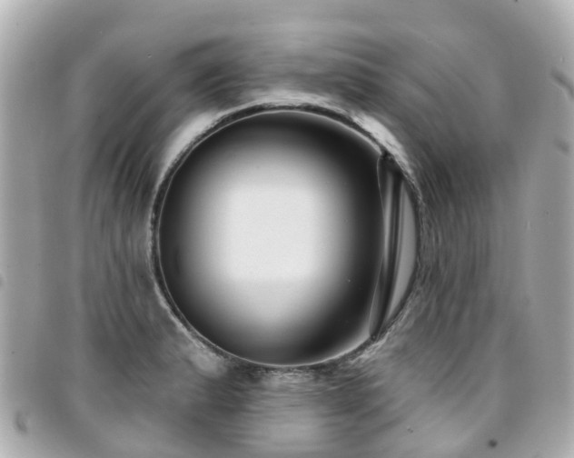 X0000094421183200711081131