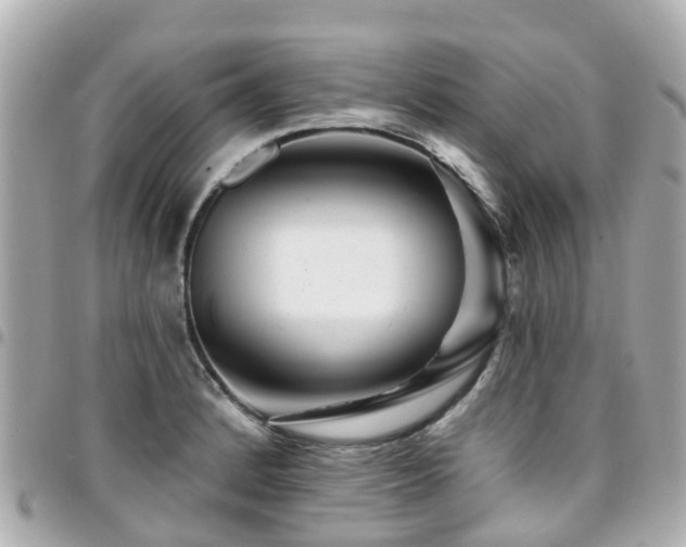 X0000094421184200711081131