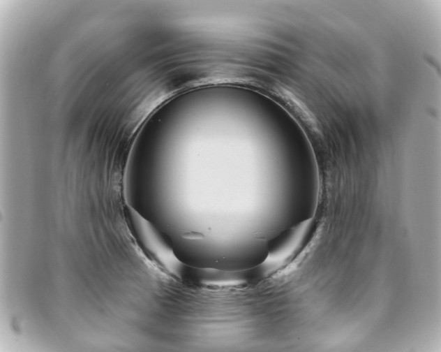X0000094421185200711081131