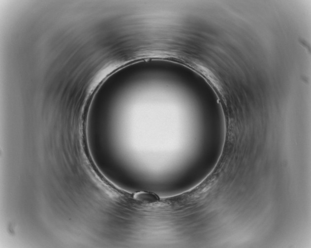 X0000094421187200711081131