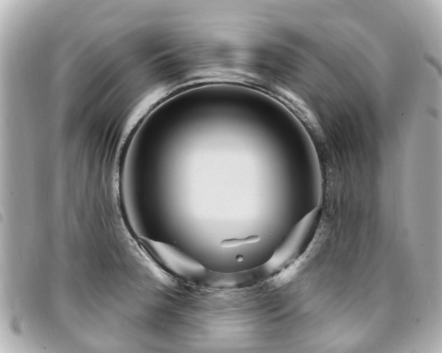 X0000094421188200711081131