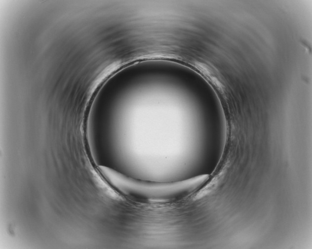 X0000094421189200711081131