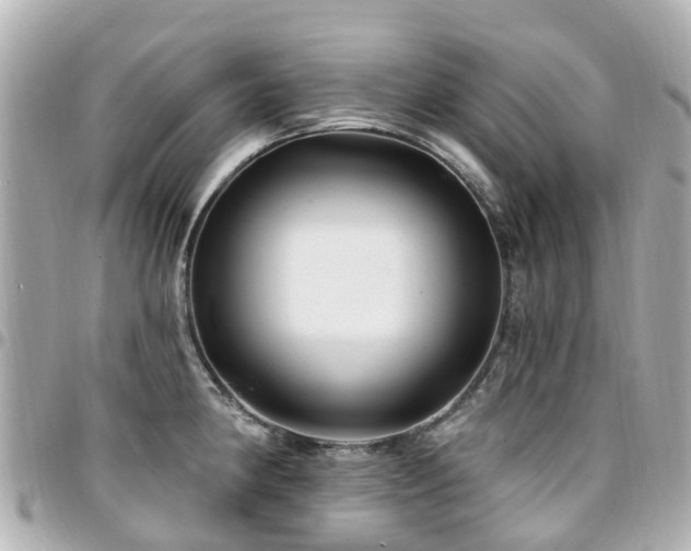 X0000094421190200711081131