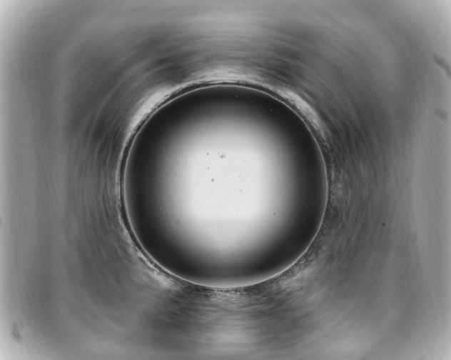 X0000094421191200711081131