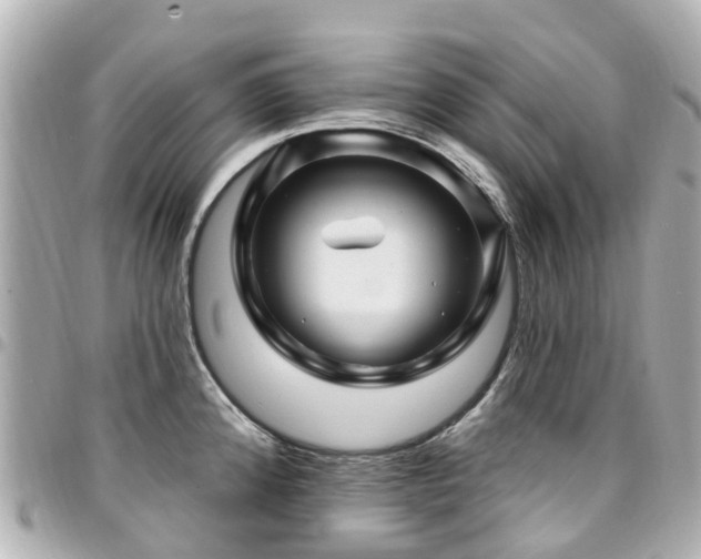 X0000094421192200711081131