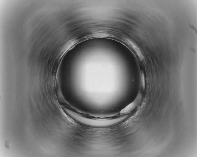 X0000094421193200711081131