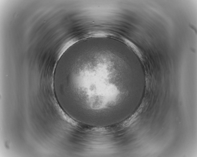 X0000094421194200711081131