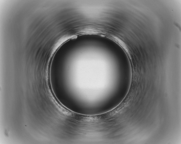 X0000094421195200711081131