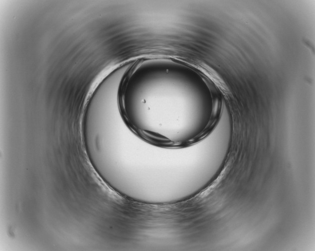 X0000094421196200711081131