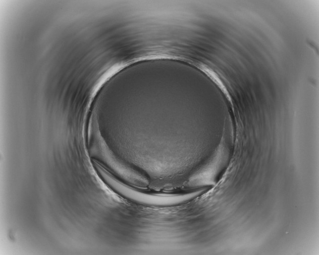 X0000094421197200711081131
