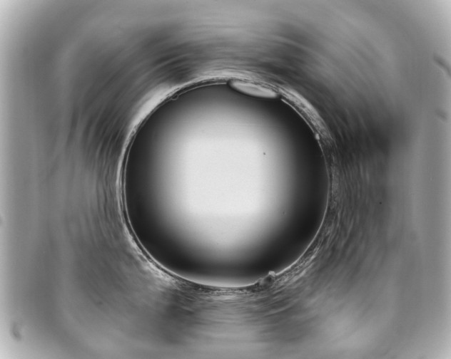 X0000094421199200711081131