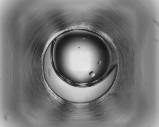 X0000094421200200711081131