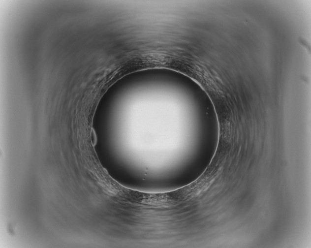 X0000094421201200711081130