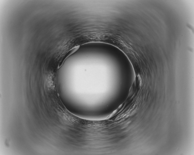 X0000094421202200711081130