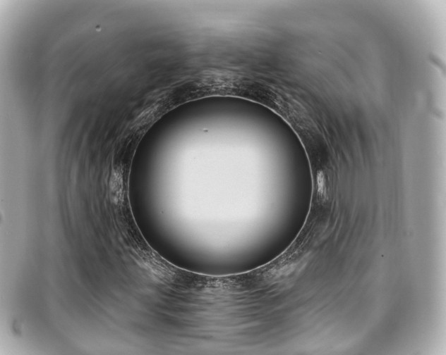 X0000094421203200711081130