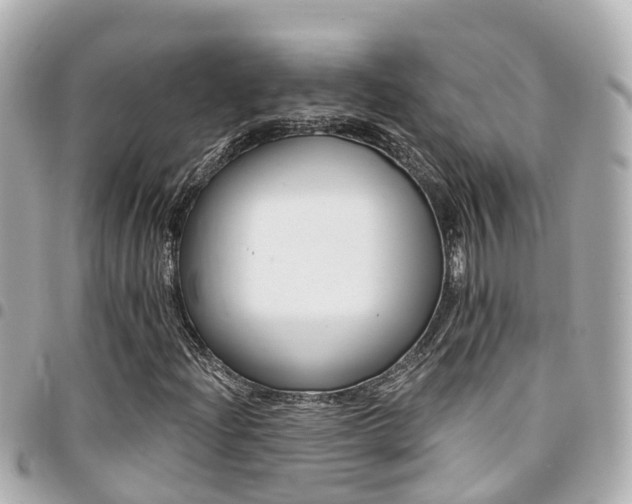 X0000094421204200711081130