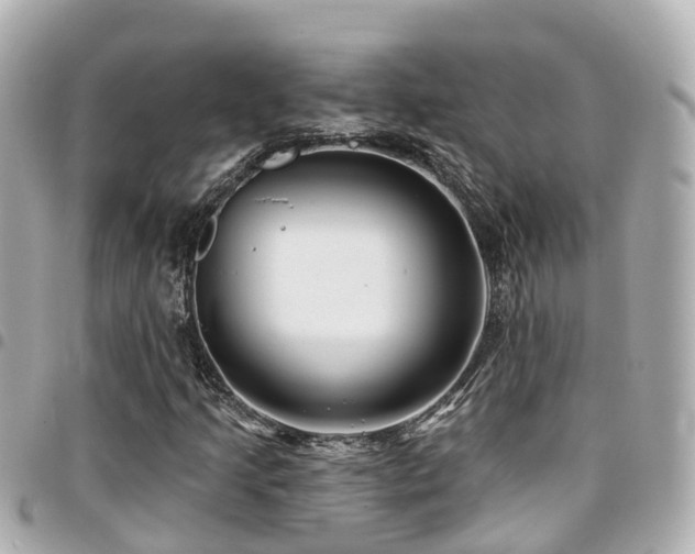 X0000094421205200711081130