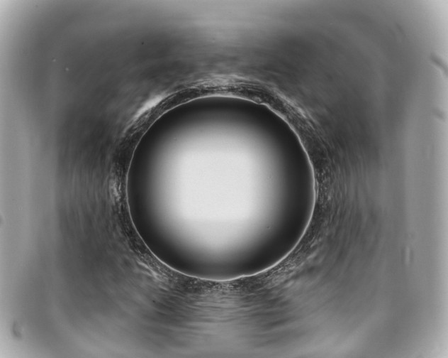 X0000094421206200711081130