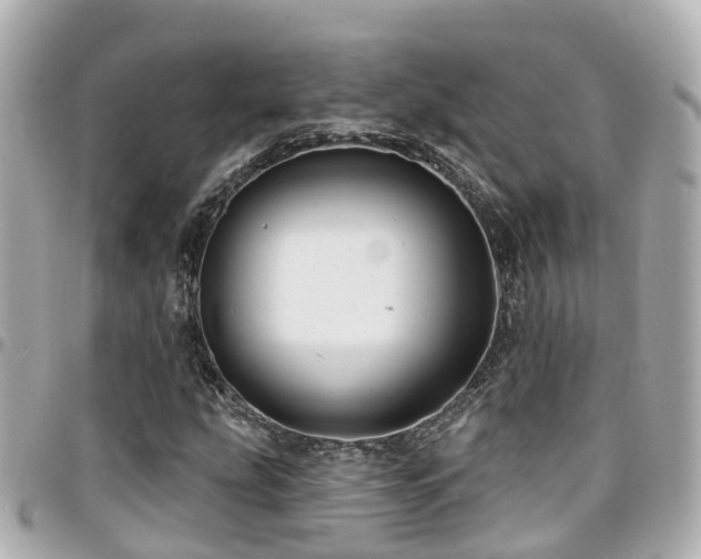 X0000094421207200711081130