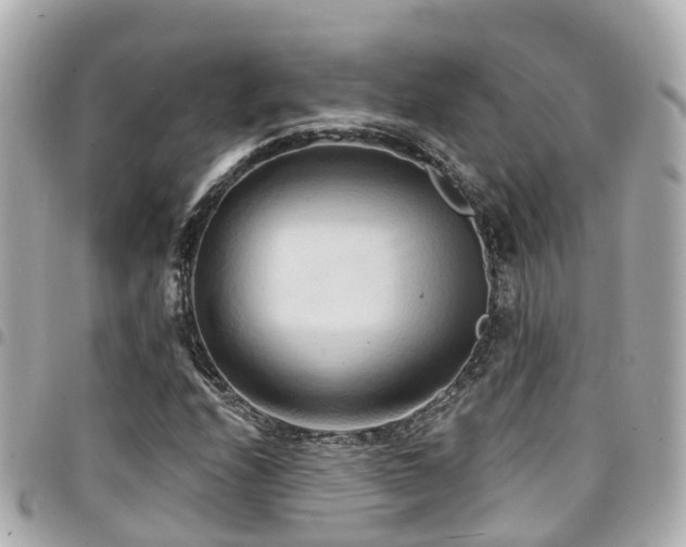 X0000094421208200711081130
