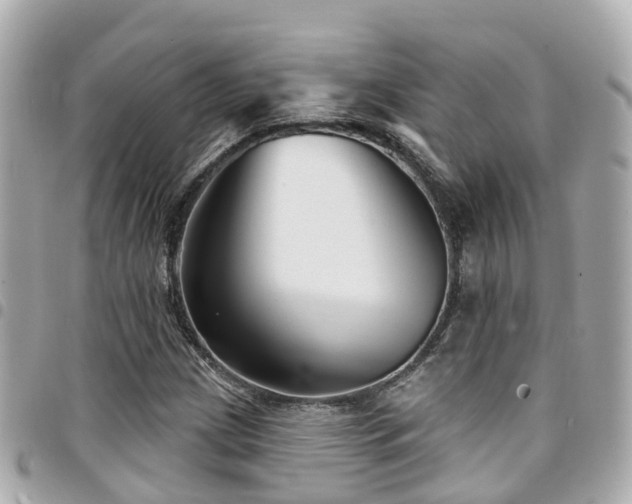 X0000094421209200711081130