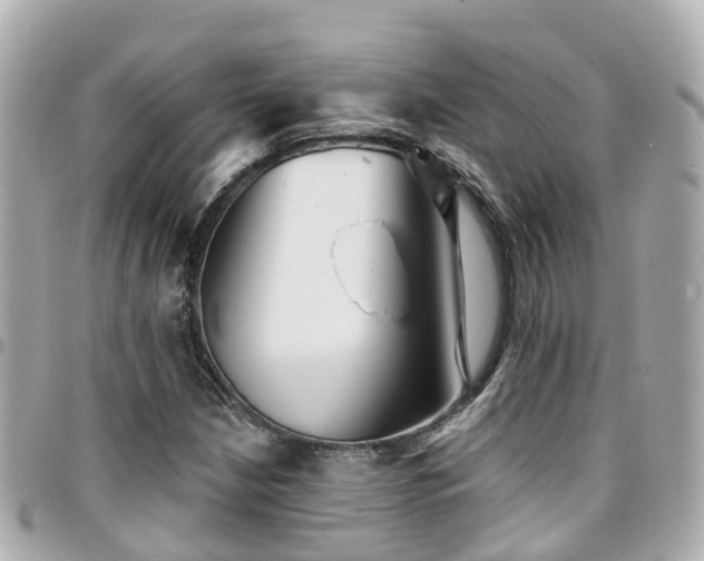 X0000094421210200711081130