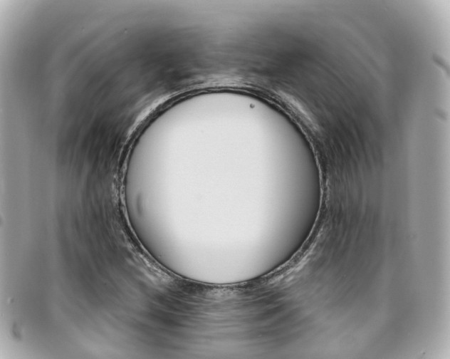 X0000094421212200711081130