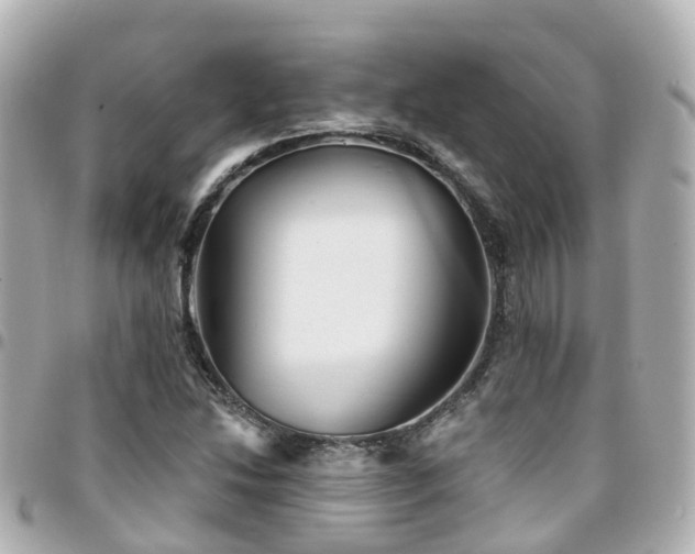 X0000094421214200711081130