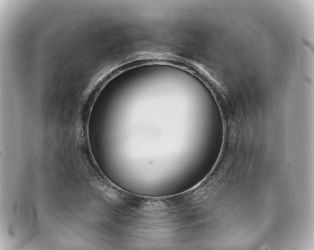 X0000094421215200711081130
