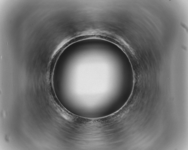X0000094421216200711081130