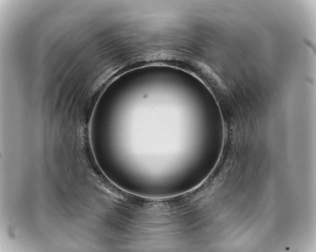 X0000094421217200711081130