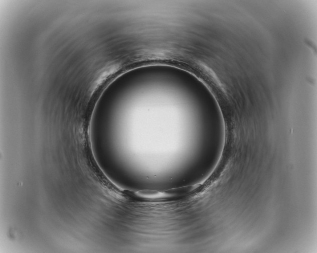 X0000094421218200711081130