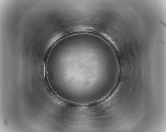 X0000094421219200711081130