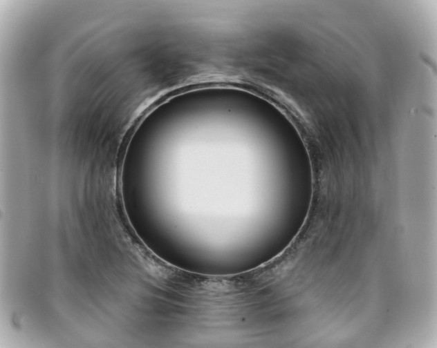 X0000094421220200711081130