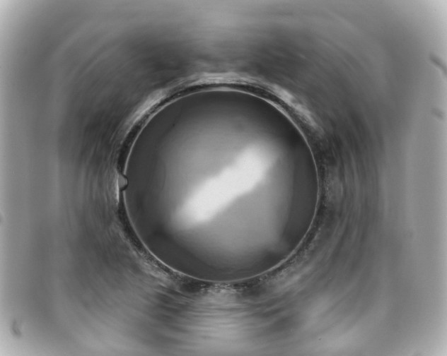 X0000094421221200711081130