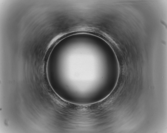 X0000094421222200711081130