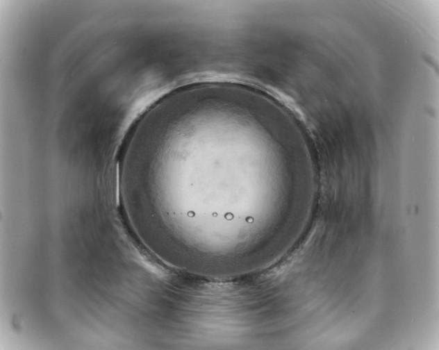 X0000094421223200711081130
