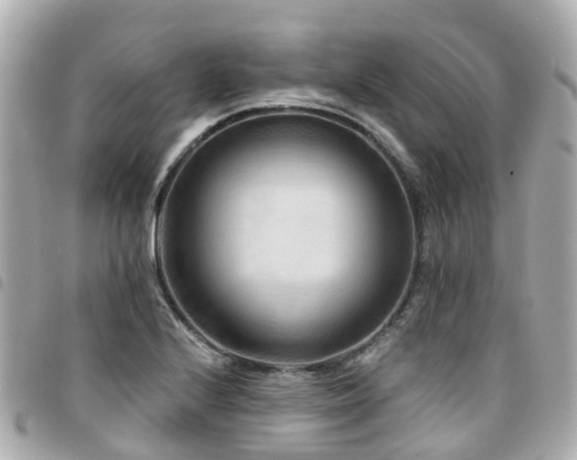 X0000094421224200711081130