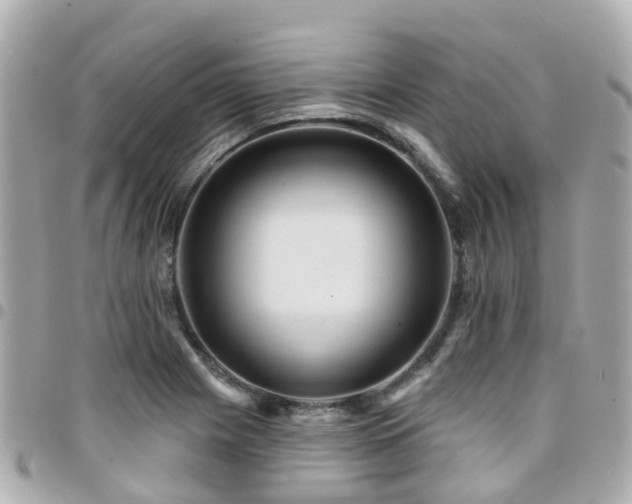 X0000094421225200711081130