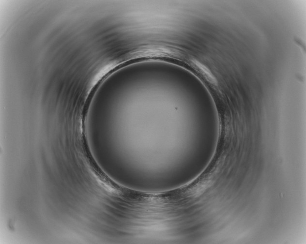 X0000094421226200711081130