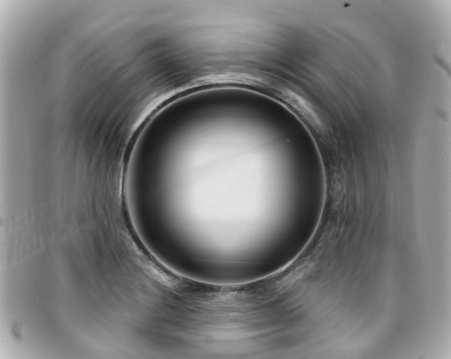 X0000094421228200711081130