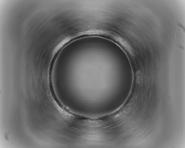 X0000094421229200711081130