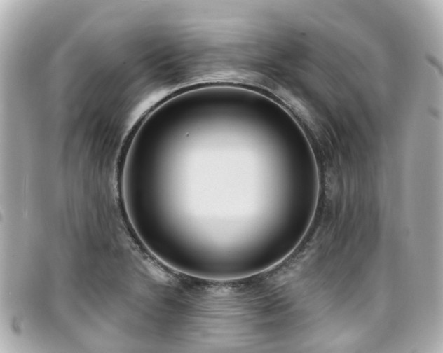 X0000094421230200711081130