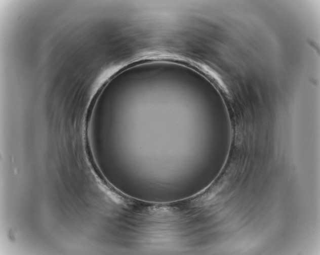 X0000094421231200711081130