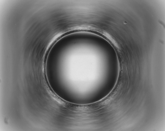 X0000094421232200711081130
