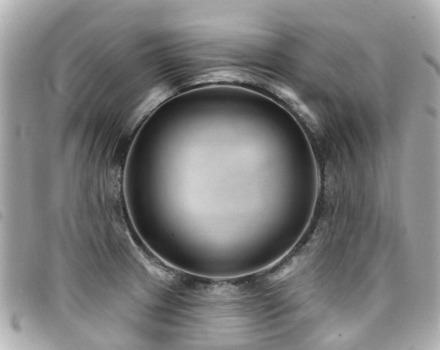 X0000094421233200711081130