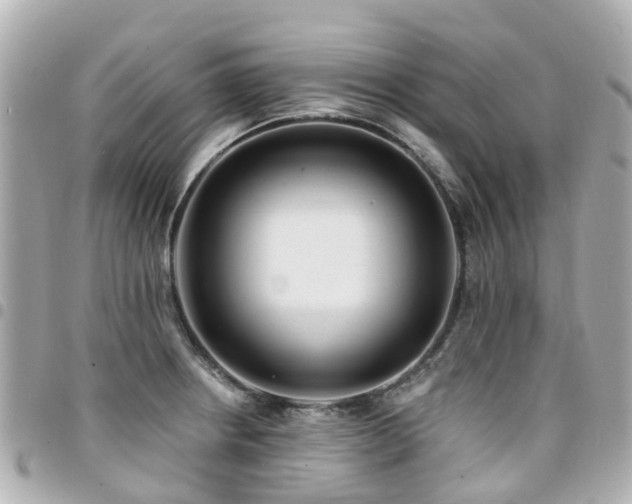 X0000094421234200711081130