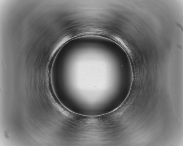 X0000094421235200711081130